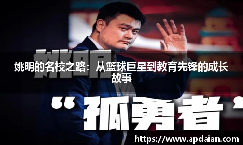 JN体育